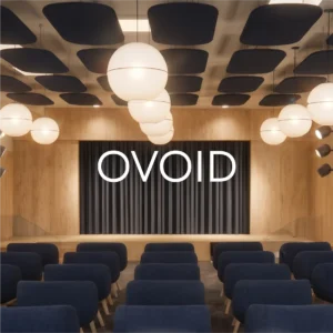 OVOID_MAIN